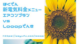 ほくでん 新しい電気料金メニュー エアコンプラン looopでんき