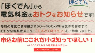 ほくでん エネとくMプラン Looopでんき