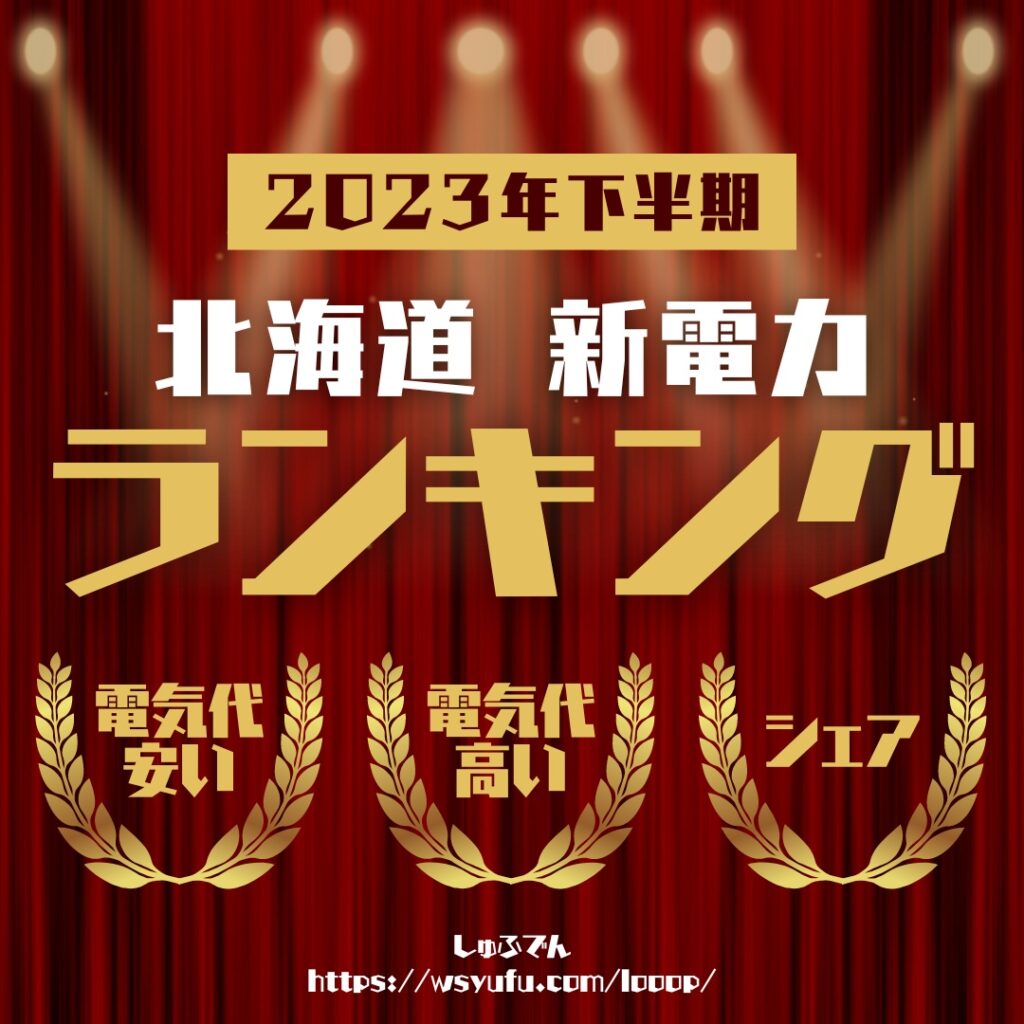 北海道新電力ランキング2023年 電気代安い　電力販売量シェア