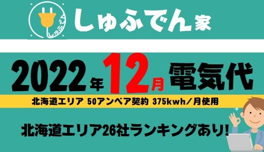 【2022年12月分電気代ランキング】北海道電力従量電灯Bより安いのは6社だった！