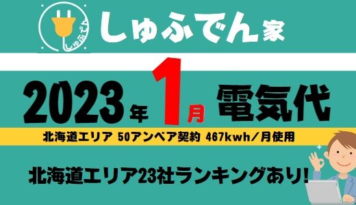 【2023年1月分電気代ランキング】北海道電力従量電灯Bより安いのは3社に！