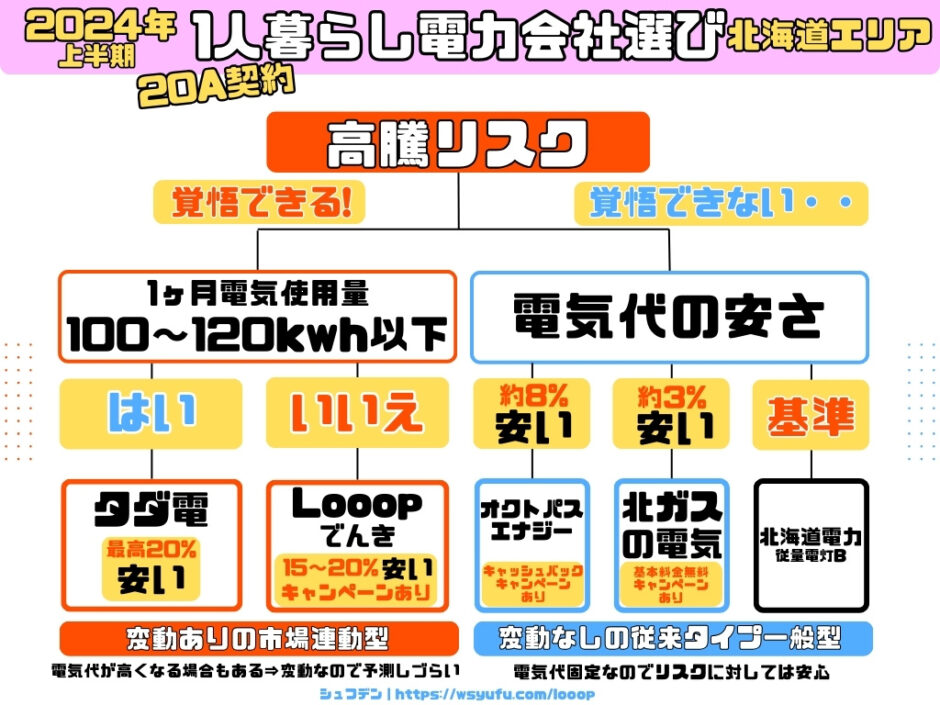 電気会社おすすめ　北海道　1人暮らし　20A　Looopでんき