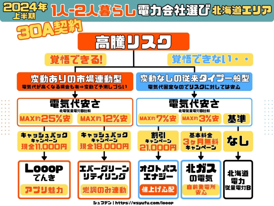 電気会社おすすめ　北海道　1人暮らし2人暮らし　30A　Looopでんき