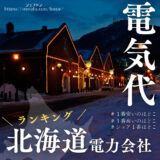 電気会社ランキング北海道 電気代安い　電力販売量シェア 2024