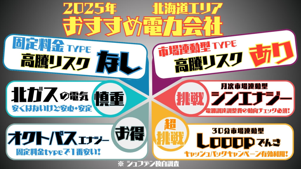 2025年おすすめ電力会社　北海道　Looopでんき オクトパスエナジー 北ガスの電気　シンエナジー　電気代安い