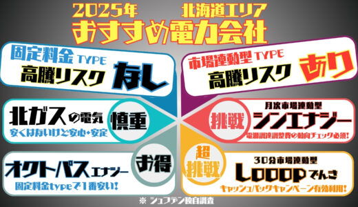 2025年おすすめ電力会社　北海道　Looopでんき オクトパスエナジー 北ガスの電気　シンエナジー　電気代安い