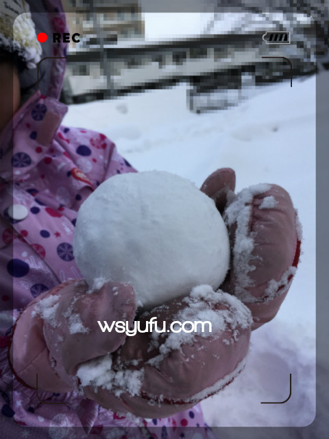 冬の札幌雪遊び雪だるまづくり