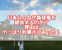 日本ハムはなぜ新球場を建設するのか？やっぱり札幌市の無能さか？