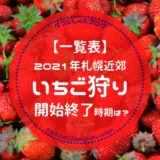 【一覧表】いちご狩り札幌近郊2021年開始・終了時期！北広島・千歳の農園がおすすめ！